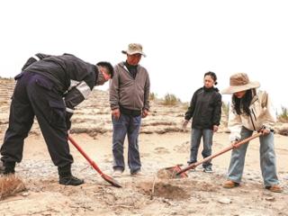 15年接力，在漫漫黄沙中种下一片西湖绿