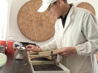 池州东至：“花香祁红”香飘长三角