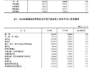 国家统计局发布2024年城镇单位就业人员年平均工资情况