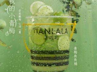 甜啦啦青梅爽爽桶上新 开启夏日茶饮新风尚