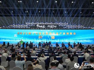 中国徽茶 迎客天下 2025第十七届安徽国际茶产业博览会开幕