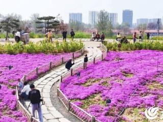 潍坊昌乐：推窗见绿，出门入园！让“诗与远方”触手可及