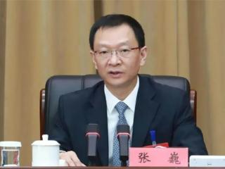 张巍任河南省委副书记