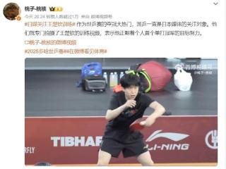 王楚钦备受外协关注！德法媒体多次报道，日本派专人跟拍其训练