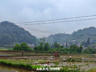 凯里碧波：奏响农业现代化“耕种曲” 绘就乡村振兴“新画卷”