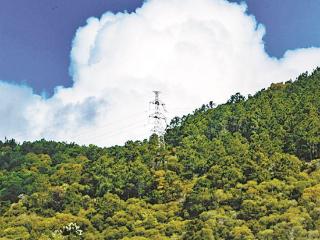 厦门未来几天雷阵雨频刷“存在感” 气温进一步攀高