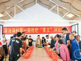 枇杷争霸 “果王”出炉