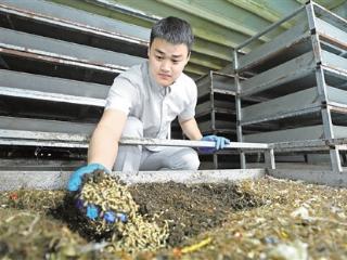 日吞垃圾30吨 吐出5吨“高蛋白”