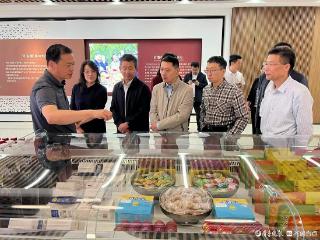 枣庄市市中区：让“政协所能”更好对接“党政所需”