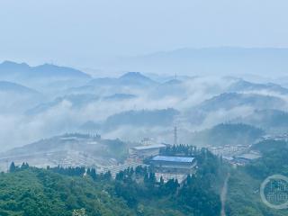 森林公园现云雾仙境 城市山峦若隐若现