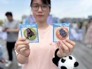 合肥“丑猴”大壮首批文创预计端午前后推出