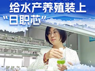 壹点海报|透过海报看产教融合中的日照职业技术学院