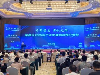 从“卤鹅IP”出圈到50亿元项目落地 解码荣昌“流量变现”的招商密码