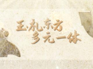 跟着总书记读懂中华文明丨良渚：中华五千年文明史的实证