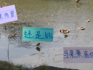 真假马莱莱 没想到进攻端的钥匙是米内罗