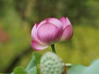 背叛行为，人人喊打！可为什么“恩爱”夫妻，也有背叛的情况？