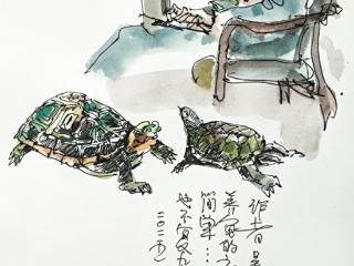 我和我家的“毛孩子”丨吴越：我为一群没有毛的“孩子”买了套房