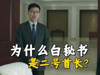 《人民的名义》白秘书为什么是二号首长？难怪李达康得感谢人家