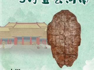 5·18国际博物馆日丨“嗨”起来，千年文物AI上新生活！