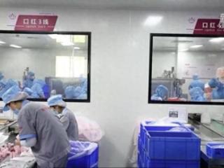 接单生产发货忙——义乌对美贸易企业走访见闻