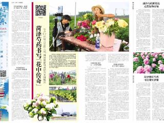 好山东|年产1.2亿枝占全国六成,菏泽芍药书写“花中传奇”