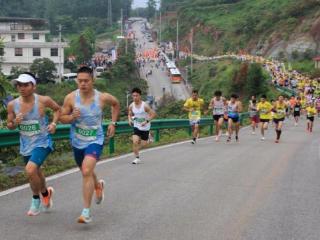 湖北通山：万亩枇杷香满径 山野竞逐踏春行