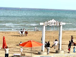 美食、音乐、露营、烟花，日照金沙岛现场超燃！