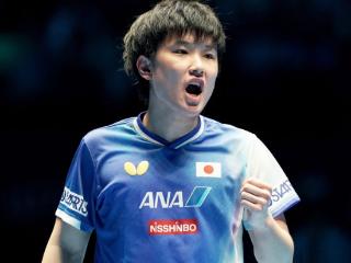 张本智和打疯了！世乒赛狂轰11-1横扫名将，强势晋级男单64强