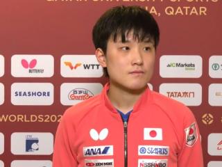 11-1，4-1晋级！国内记者中文采访张本智和，日本核心讲的太流利