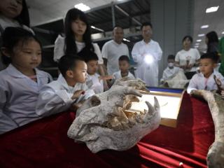 国际博物馆日丨萌娃“开箱”重庆自然博物馆神秘库房：我摸到亿年化石啦