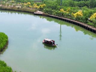 结婚登记、免门票……快来马踏湖解锁“爱的副本”