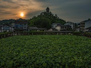缙云丨黄文：故乡