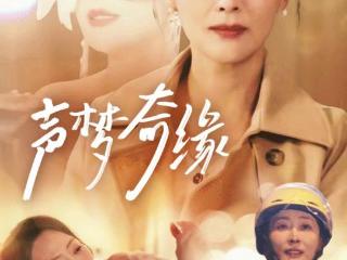 《声梦奇缘》：破茧之声，叩问中年女性的生存困局｜微剧评