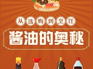 酱油的奥秘：从选购到烹饪全攻略