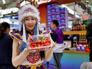 聚焦“哈洽会”丨富锦市“绿色农品”彰显现代农业魅力