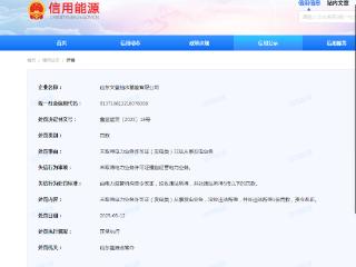 山东文登抽水蓄能有限公司违规被罚