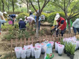汀兰社区：青春绿动，共筑花漾家园