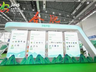 三产融合谱新篇 合肥市“茶+”创新模式亮相2025安徽茶博会
