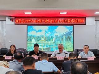 万载县举办林业产业资源培育实用技术培训班
