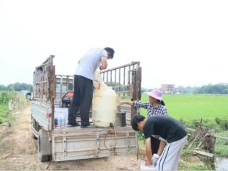 赣州蓉江新区：无人机“飞防”为早稻生产“护航”
