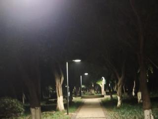 16盏路灯让“摸黑路”变“安心路” 重庆江北“点亮渝灯”行动照亮居民回家路