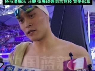 孙杨800米自由泳退赛