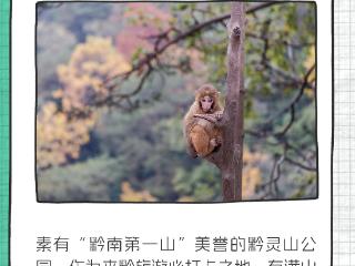 中国旅游日｜贵州开启“宠你模式”