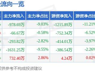雪龙集团（603949）5月19日主力资金净卖出978.69万元