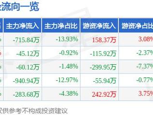 长鸿高科（605008）5月19日主力资金净卖出715.84万元