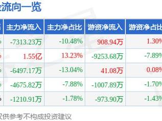 杭齿前进（601177）5月19日主力资金净卖出7313.23万元
