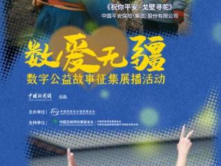 戈壁深处的守护者：寻驼行动传递温情力量