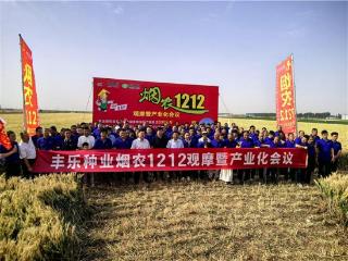 丰乐种业“烟农1212”观摩大会在南阳大放异彩