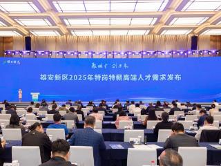 雄安新区发布2025年“特岗特薪”高端人才需求清单