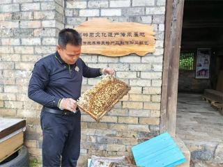 蜂农黄智勇：以“蜜蜂精神”凝聚助残力量